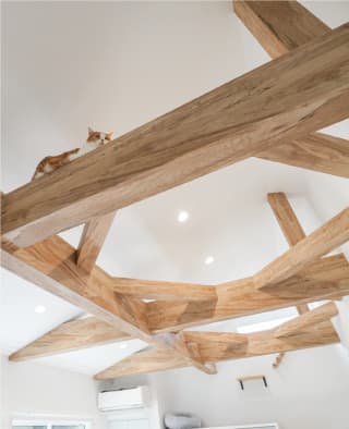 THE ORDER こだわり空間の一部を紹介 その他の空間編 1